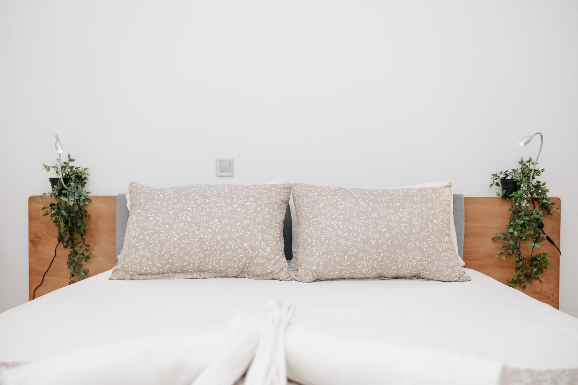 Vasilis Modern Apartment *